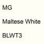 Preview: MG, Maltese White, BLWT3.